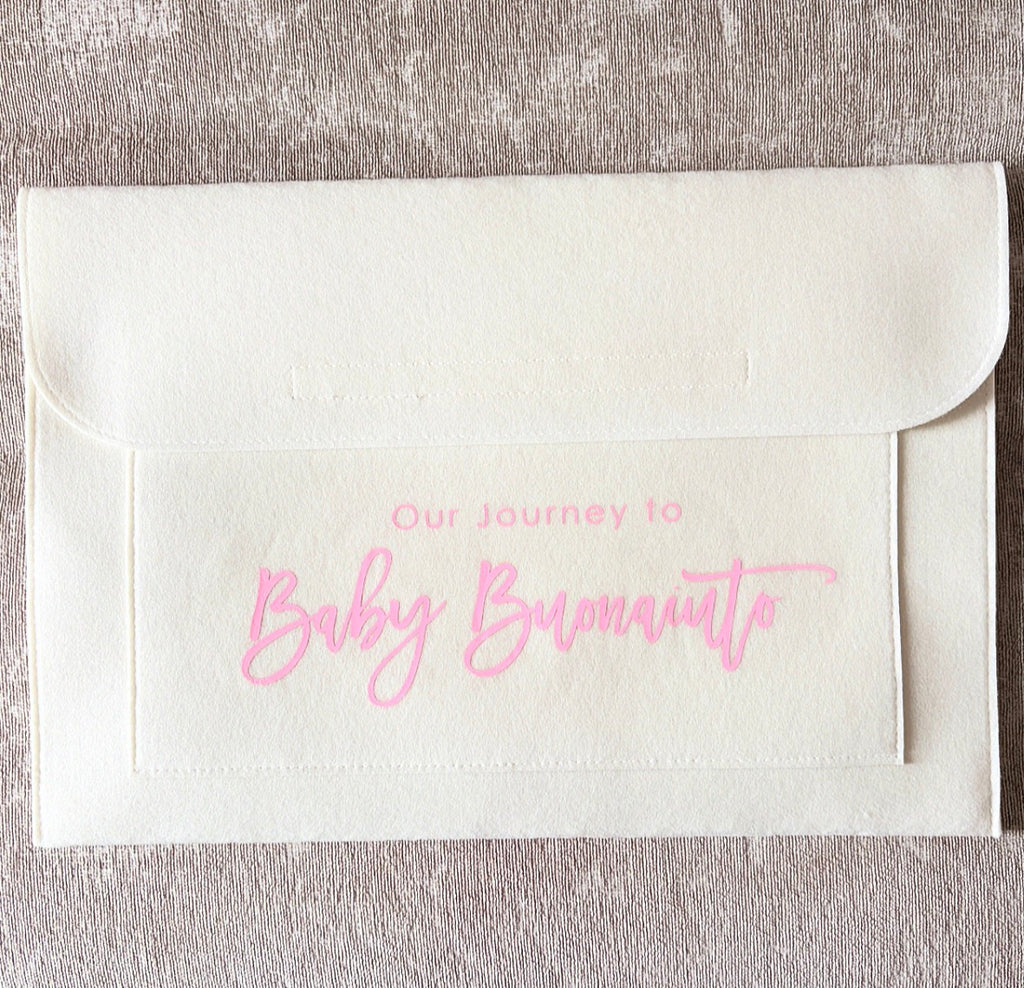 Maternity Notes Folder Our Journey to Baby Surname Pregnancy Organiser Pregnancy keepsake Mum to be Gift baby Hospital Notes carrier